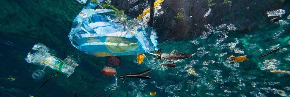 The Problem with Plastic Waste and its Solutions