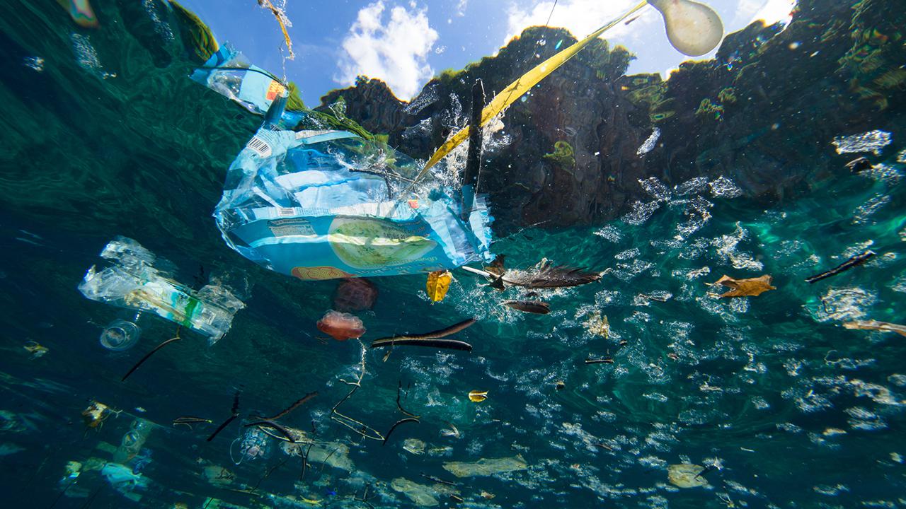 The Problem with Plastic Waste and its Solutions